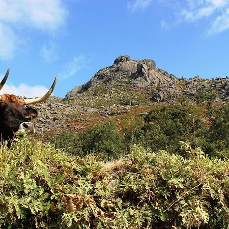 Beirais Do Alvao Villa วีลาเรอัล ภายนอก รูปภาพ